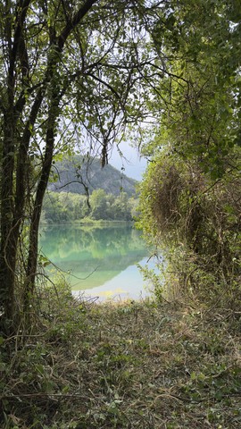 poste gianetto