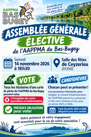 affiche élections bas bugey