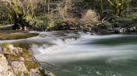 le Gland aappma du bas bugey